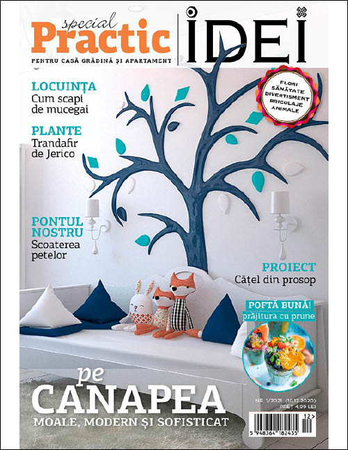 practic idei